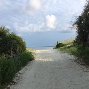 Meet your Posher, Ivy